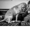 Fotografía de Paloma Bravo