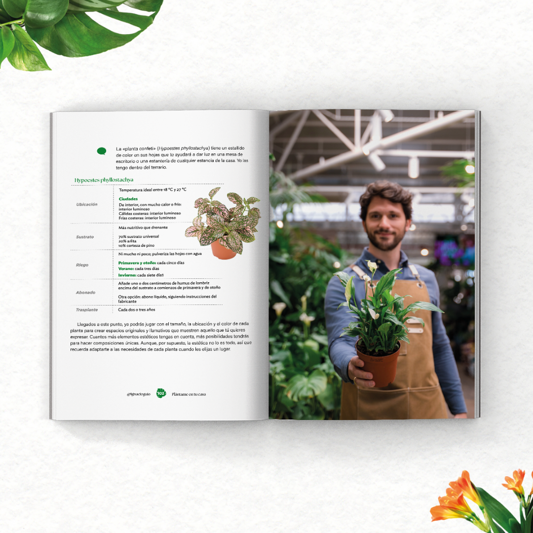 Portada Plántame en tu casa 0