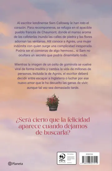 Contraportada Agnès y la felicidad