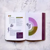 Portada Atlas de los sabores 1