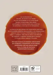 Miniatura contraportada Escabeches