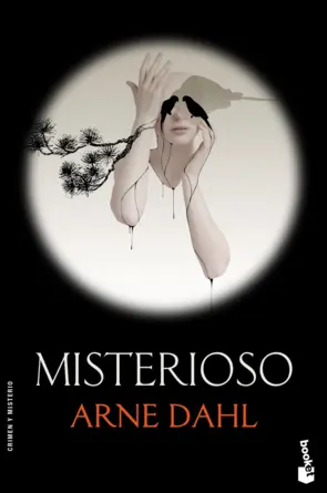 Portada Misterioso (Bk)