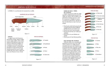 Imagen extra Bushcraft ilustrado 1