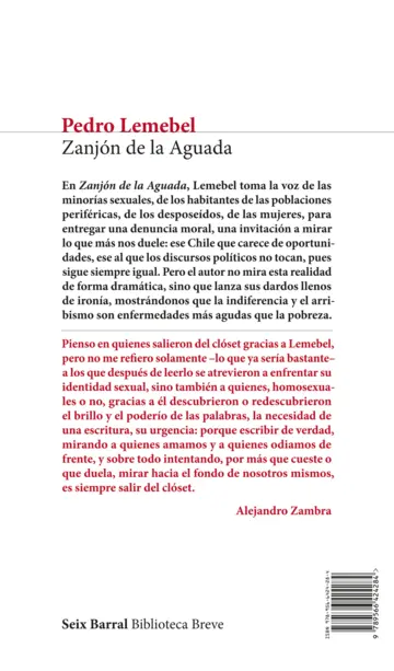 Contraportada Zanjón de la Aguada