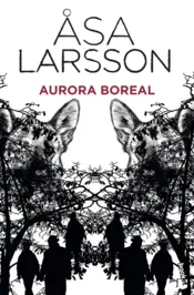 Portada Aurora boreal