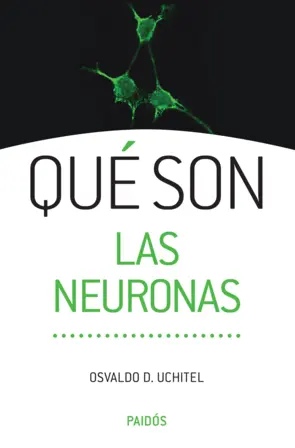 Portada Qué son las neuronas