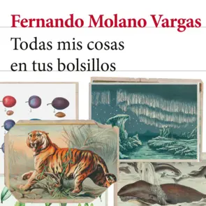 Portada Todas mis cosas en tus bolsillos