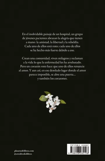 Contraportada Me enamoré de la esperanza