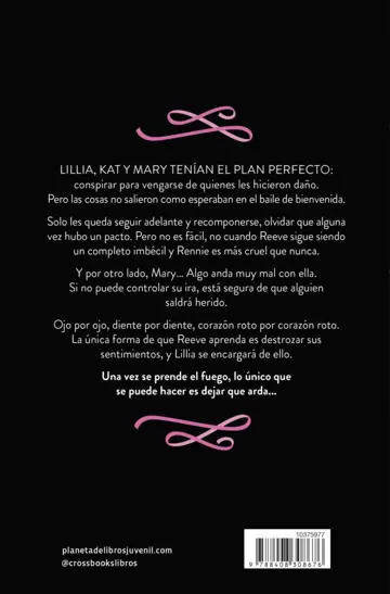 Contraportada Secretos y mentiras 2. Mentiras que arden