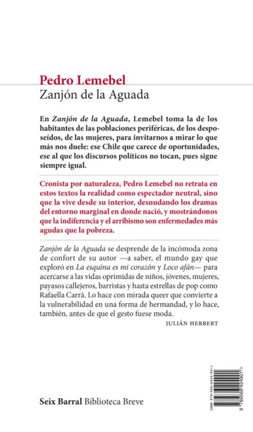 Contraportada Zanjón de la Aguada