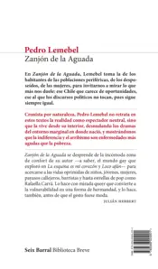 Miniatura contraportada Zanjón de la Aguada