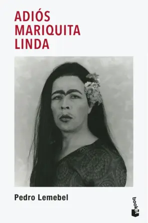 Portada Adiós mariquita linda