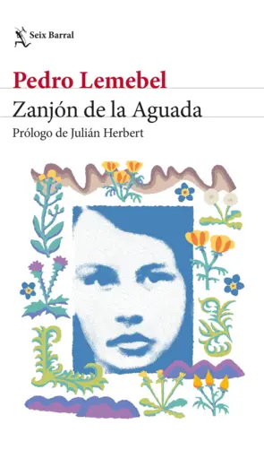 Portada Zanjón de la Aguada