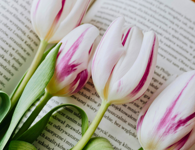 Imagen de fondo Regalá libros en el Día de la Madre